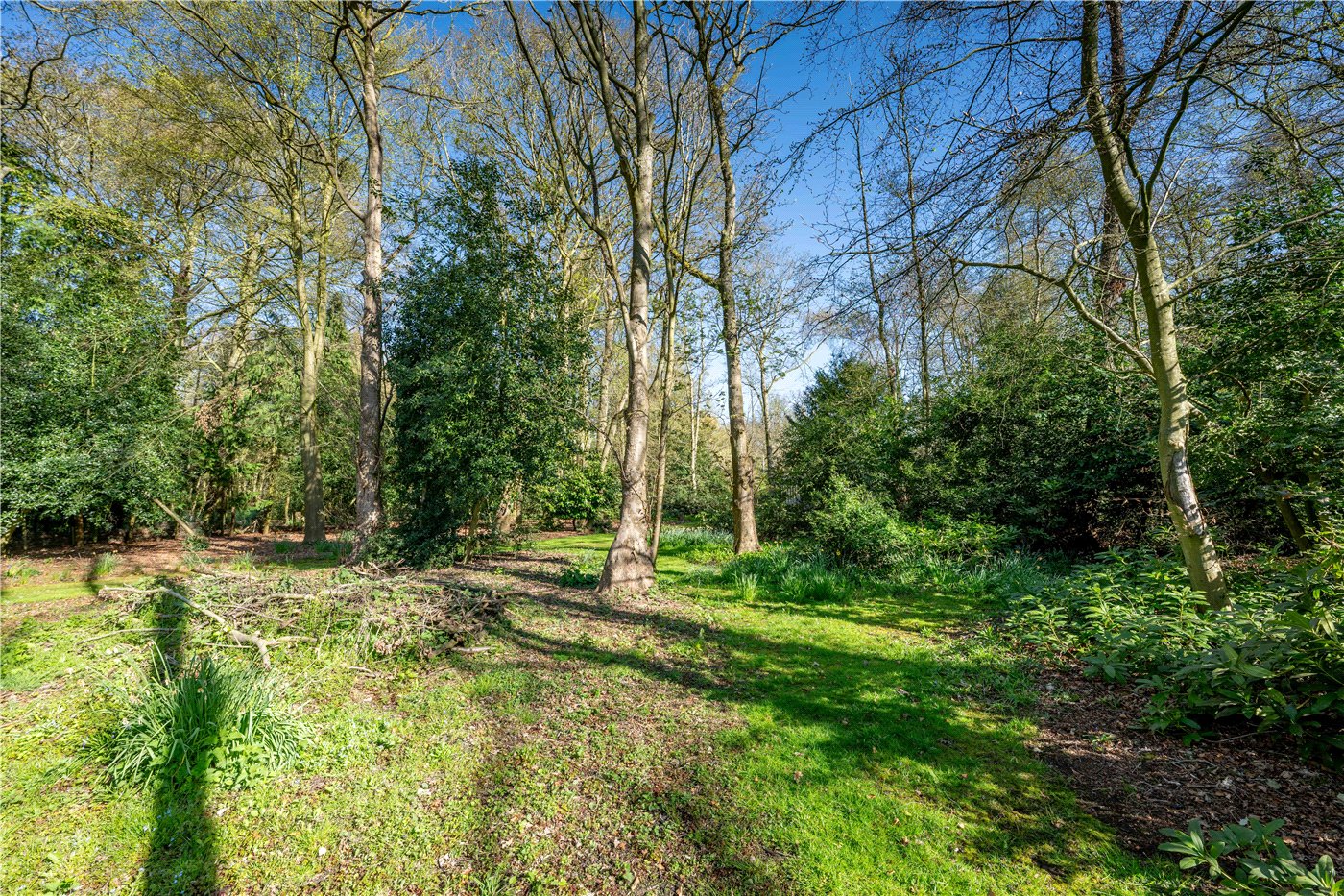 Grounds