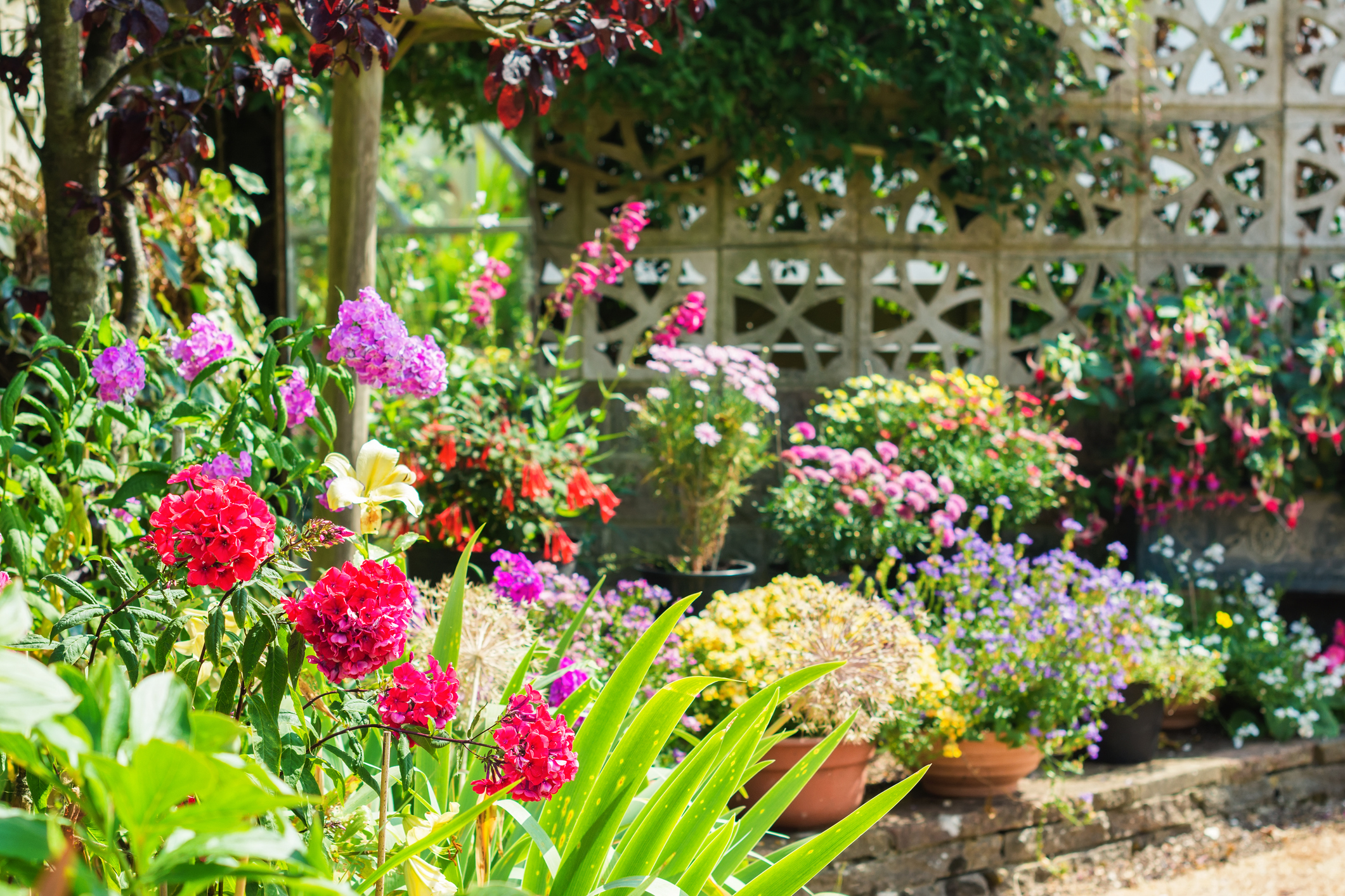 Spring-garden