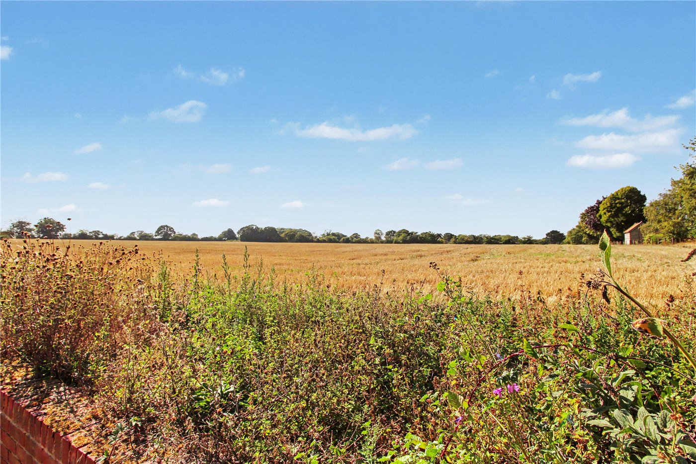Field Views Rear