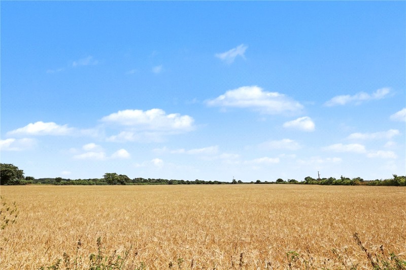 Godfrey Road, Spixworth, Norwich, Norfolk, NR10