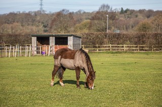 Willett Road, Ashington, Wimborne, Dorset, BH21