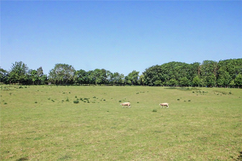 Greens Croft, Mill Road, Surlingham, Norwich, NR14