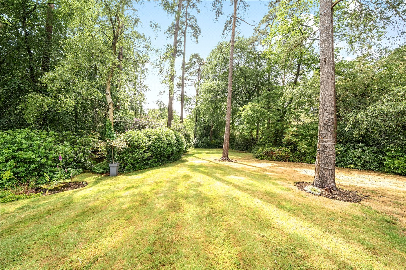 Winkworth Farnham