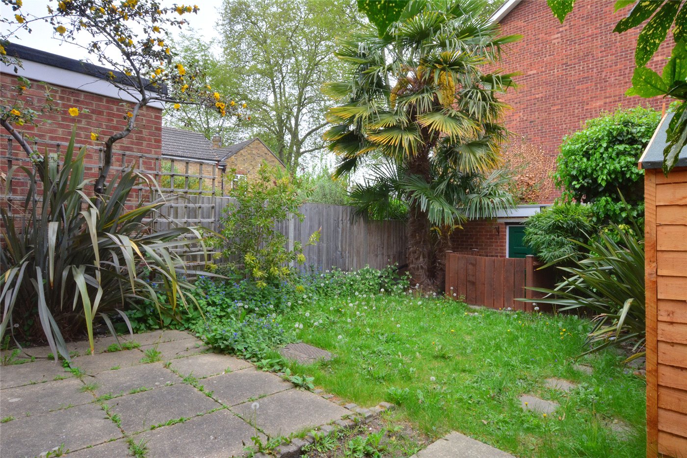Garden