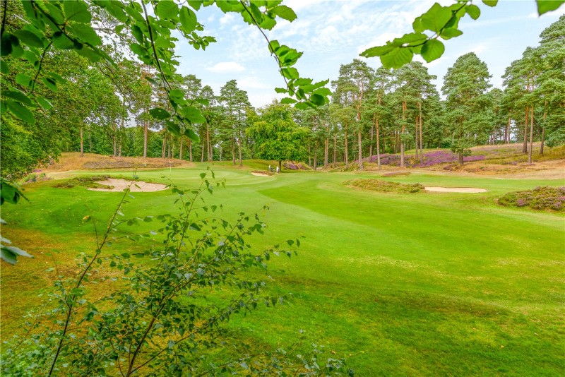 Byfleet Road, Cobham, Surrey, KT11