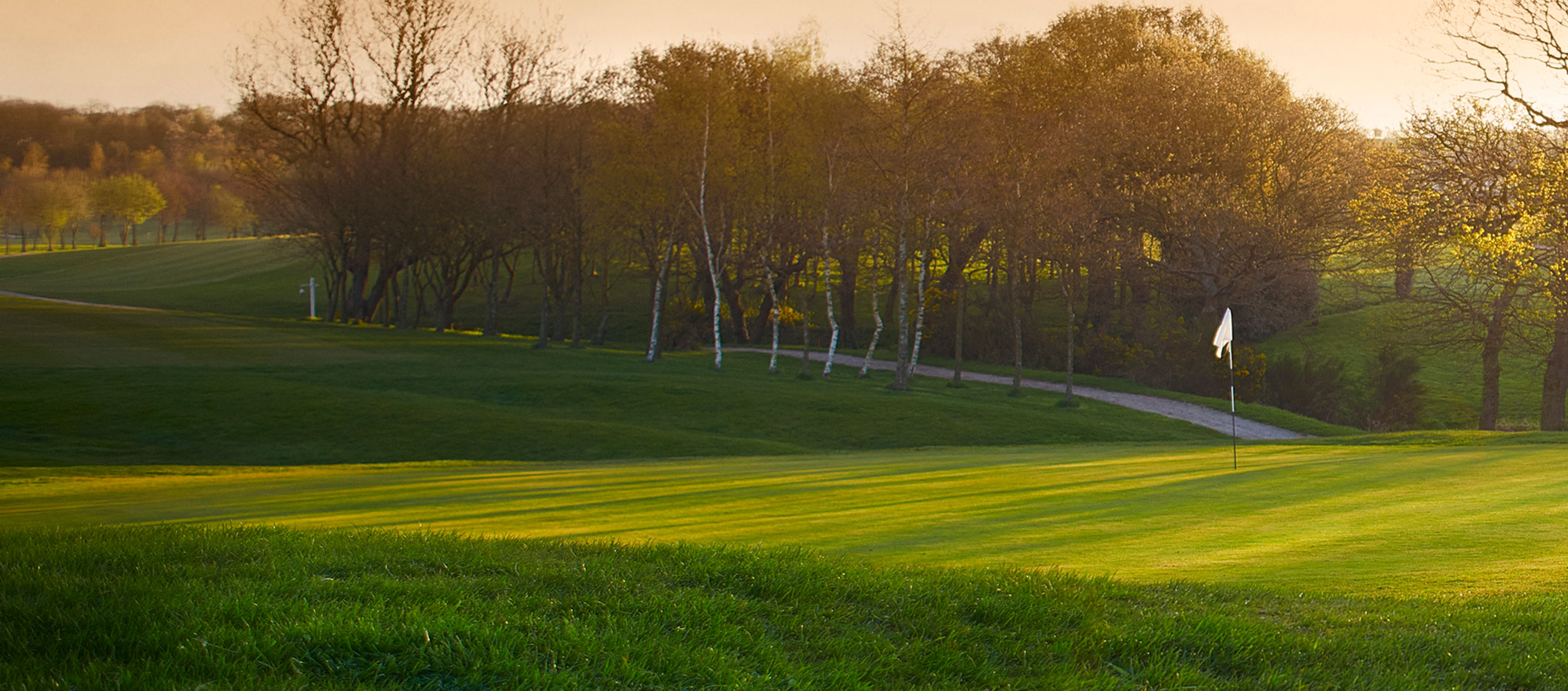 Estate Agents in Meyrick Park