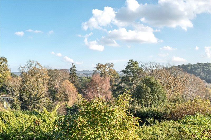 Bat & Ball Lane, Farnham, Surrey, GU10