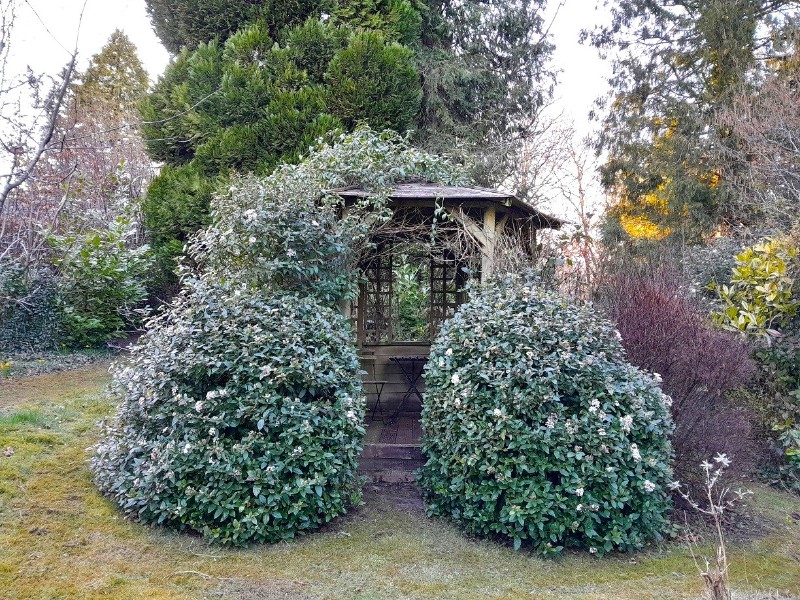 Chipstead Way, Banstead, Surrey, SM7