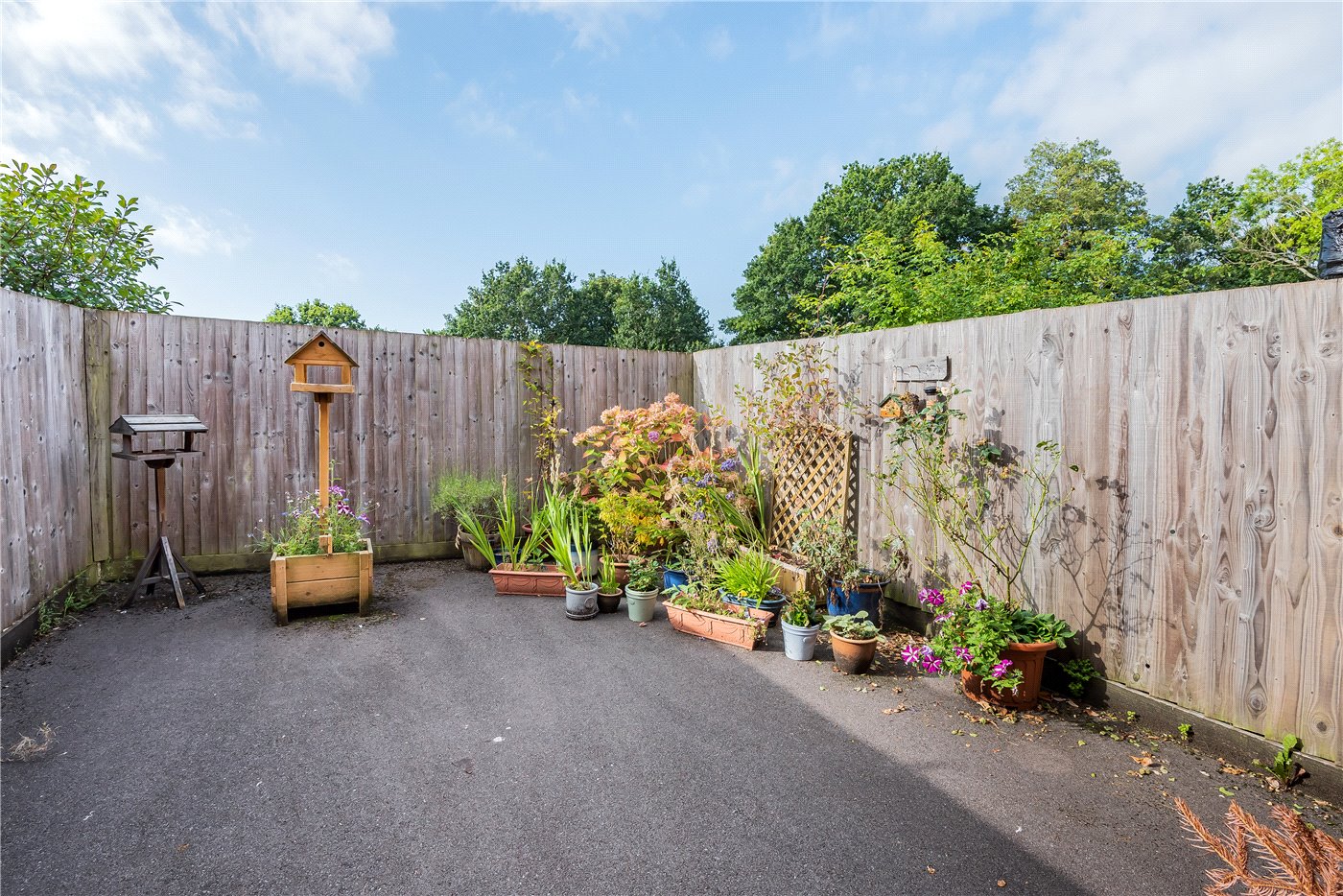 Courtyard Garden