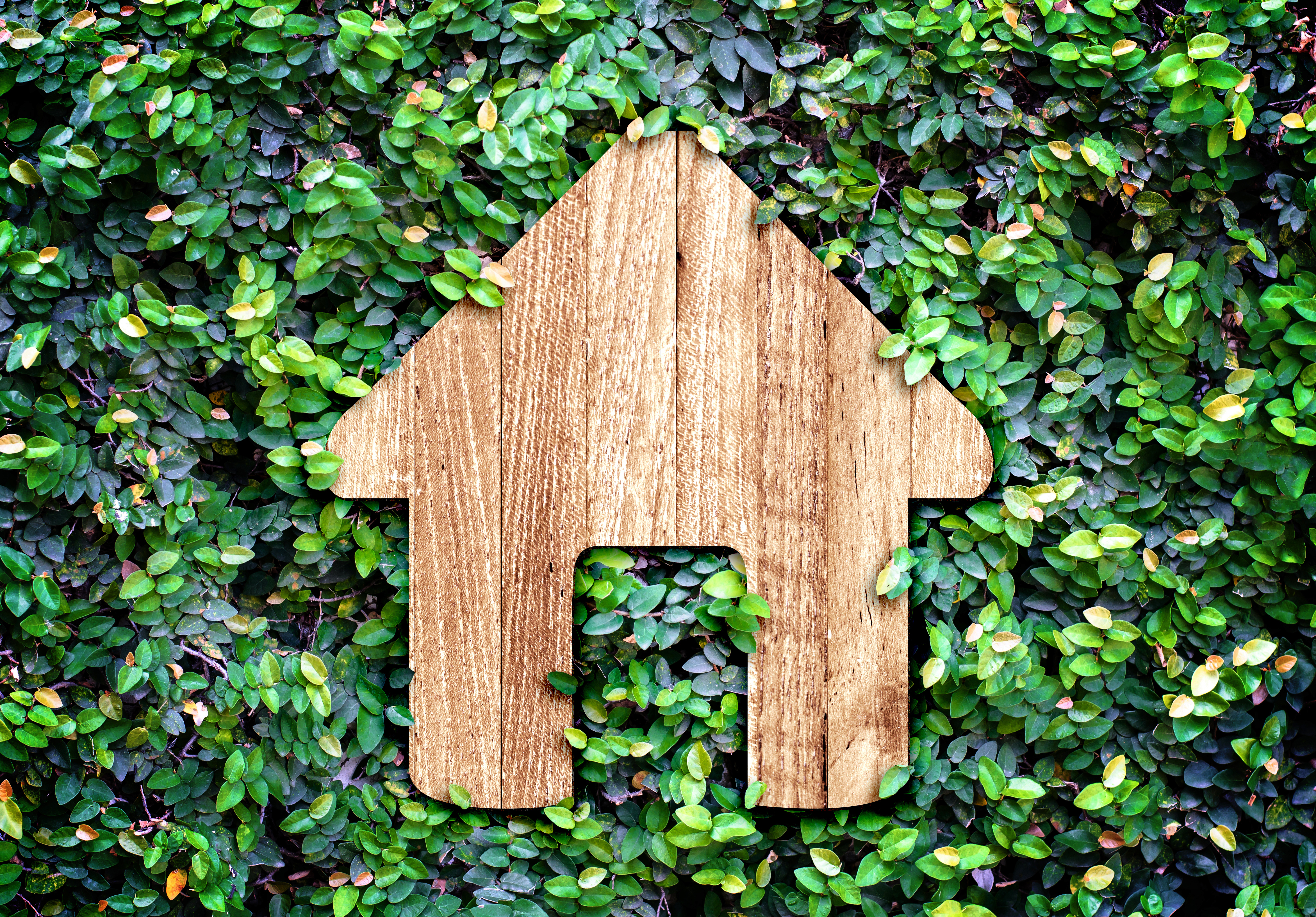 iStock-502977173_1