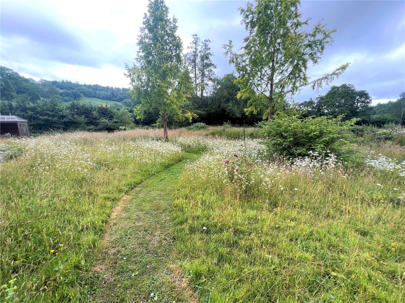 Bury, Dulverton, Somerset, TA22