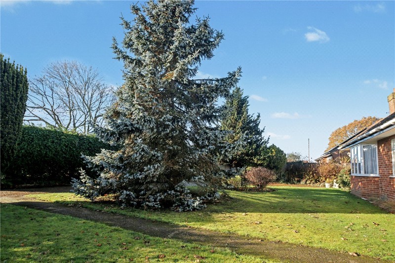 Poringland Road, Stoke Holy Cross, Norwich, Norfolk, NR14