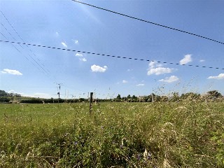 East Kennett, Marlborough, SN8