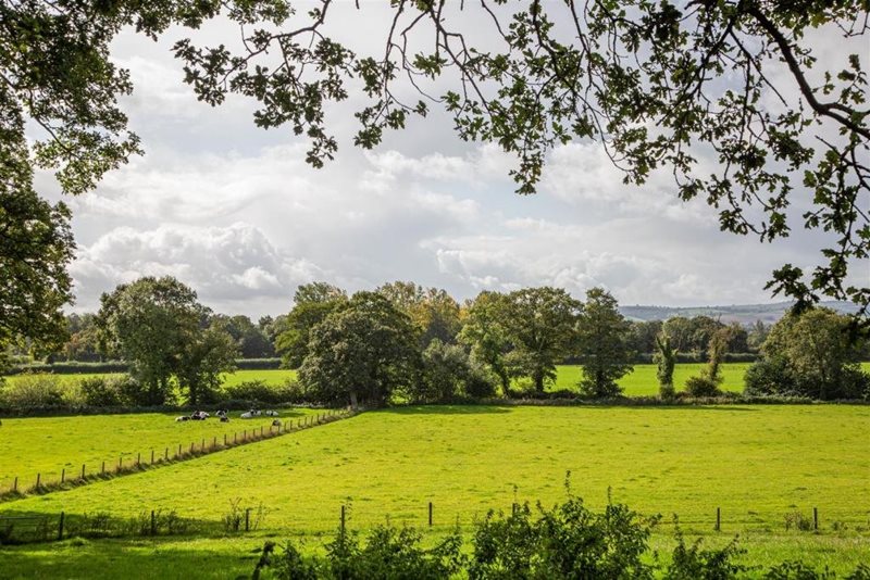 Wood Barton House and Land, Kentisbeare, Cullompton, Devon, Ex15
