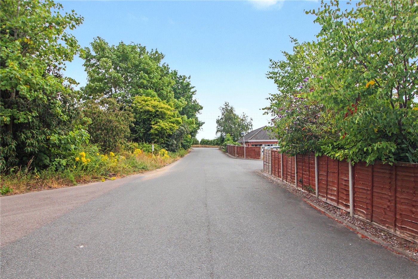 Driveway