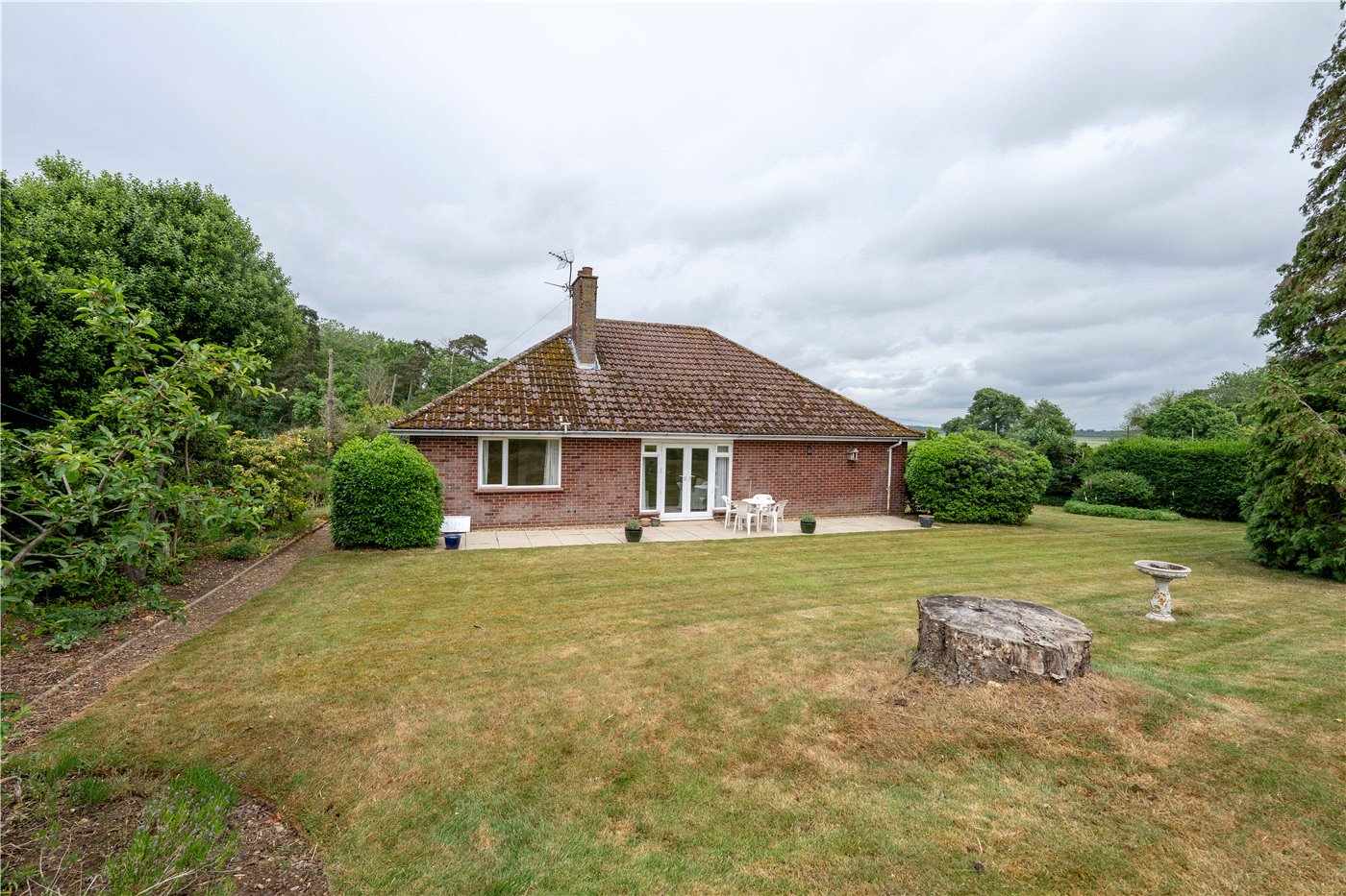 Rear