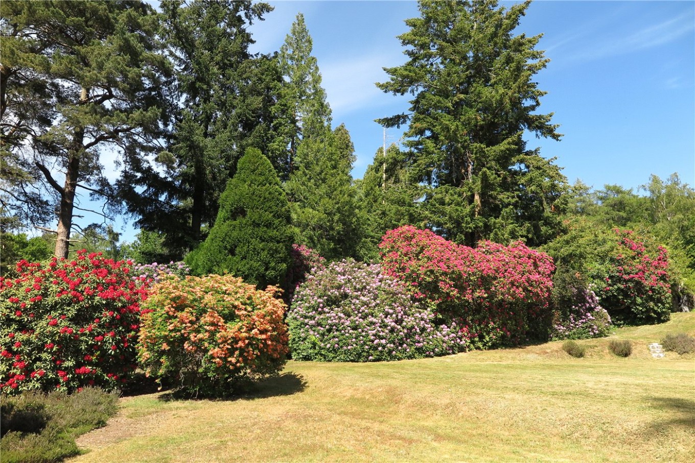 5 bedroom property for sale in Beech Hill House, Beech Hill Road