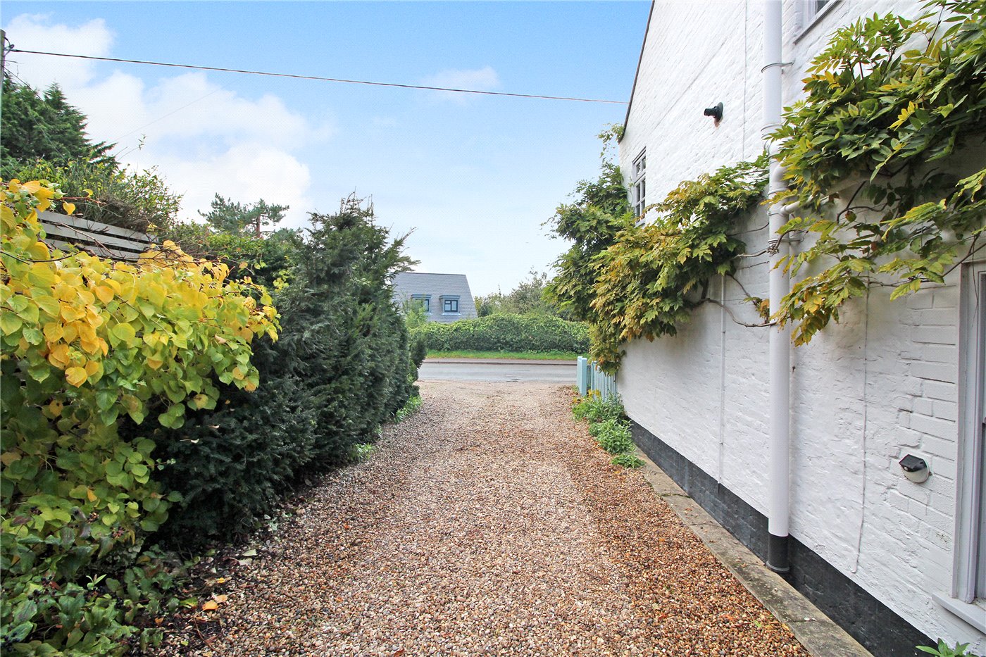 Driveway