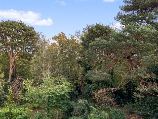 Dean Park Road, Dean Park, Bournemouth, BH1