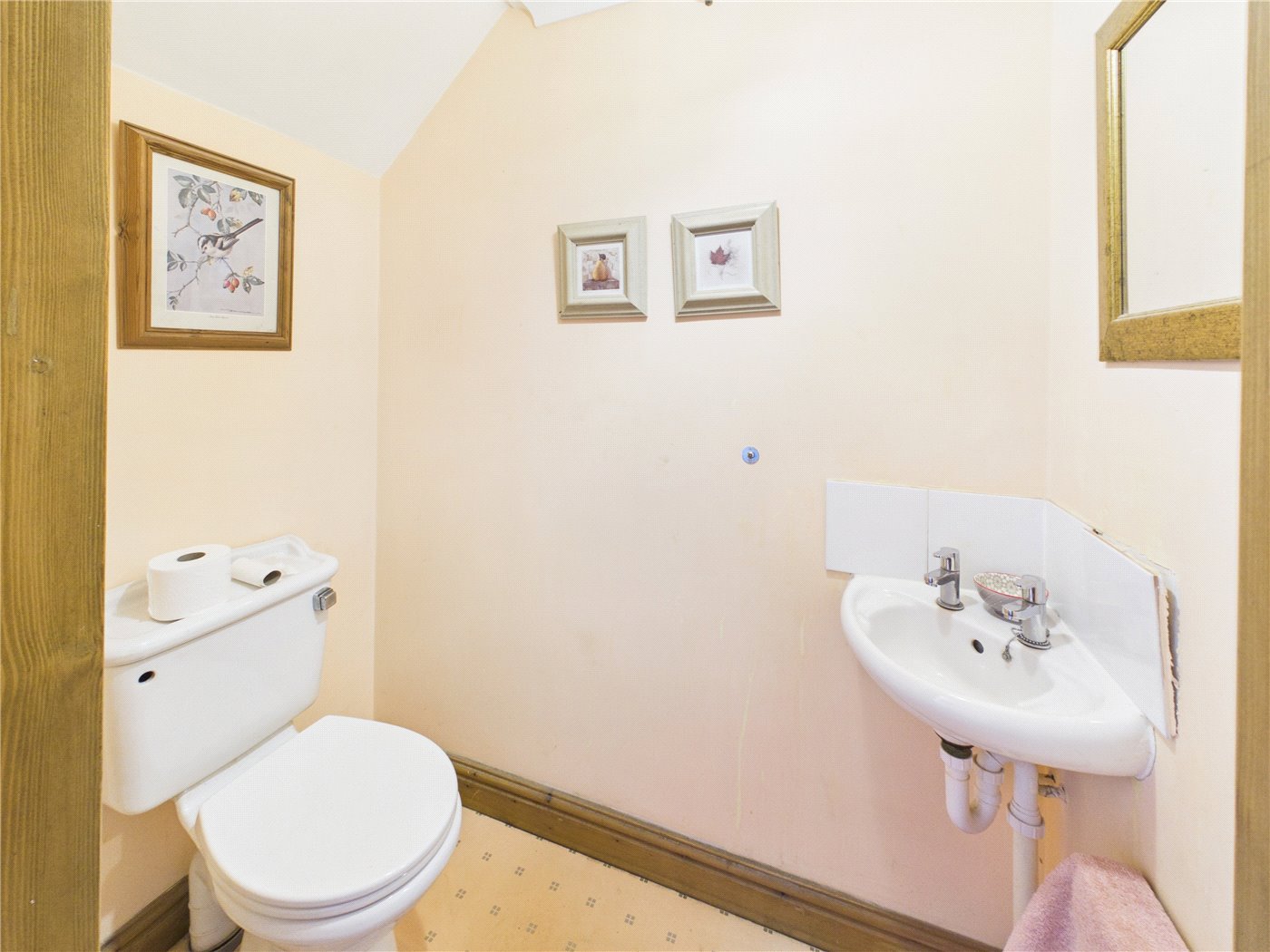 Downstairs Wc