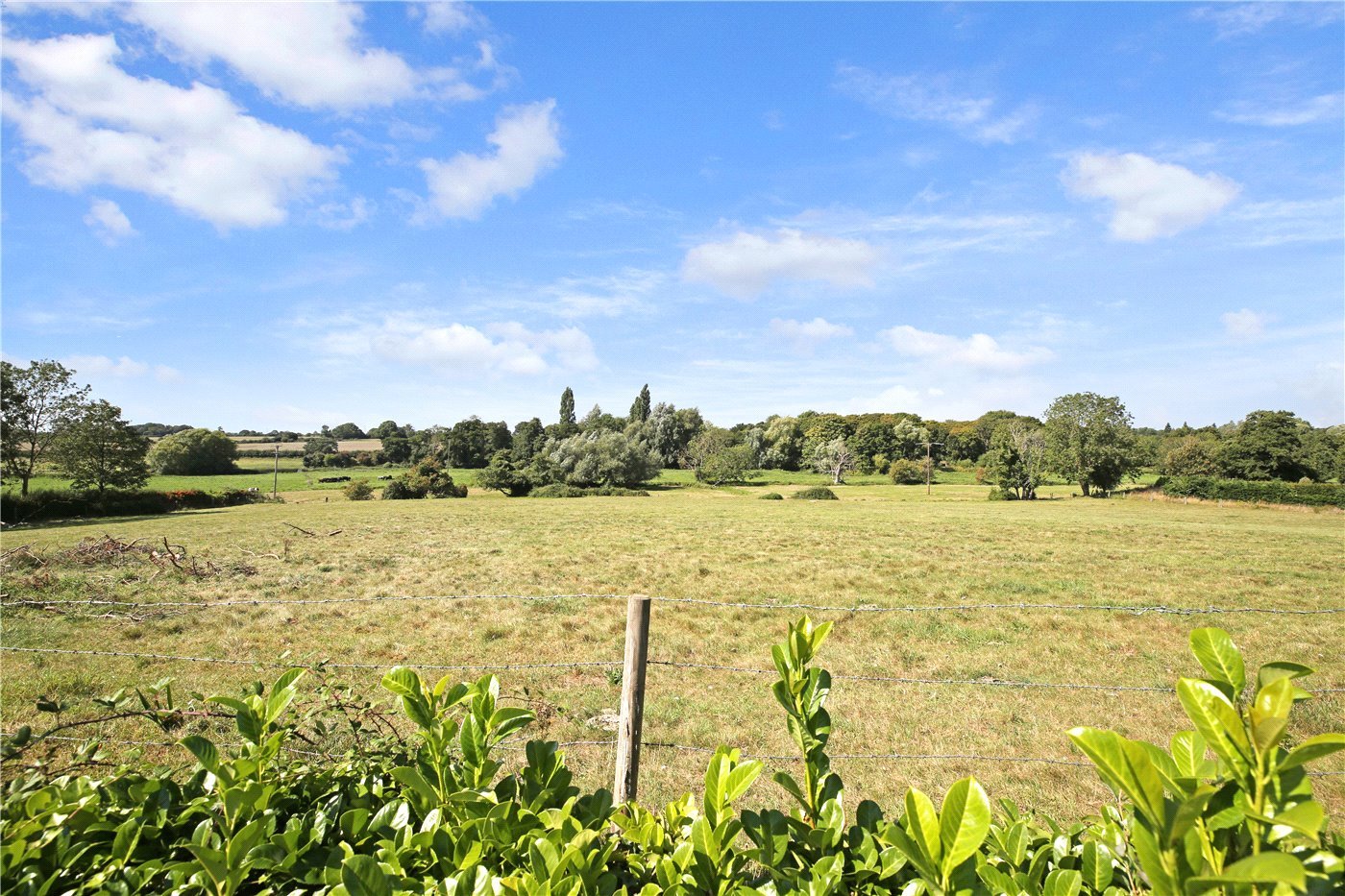 Field Views