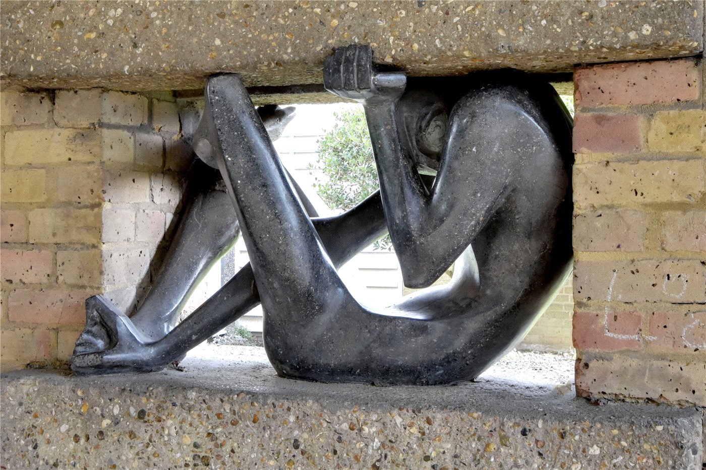 Architect In Society