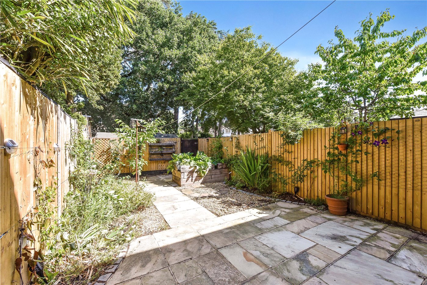 Garden