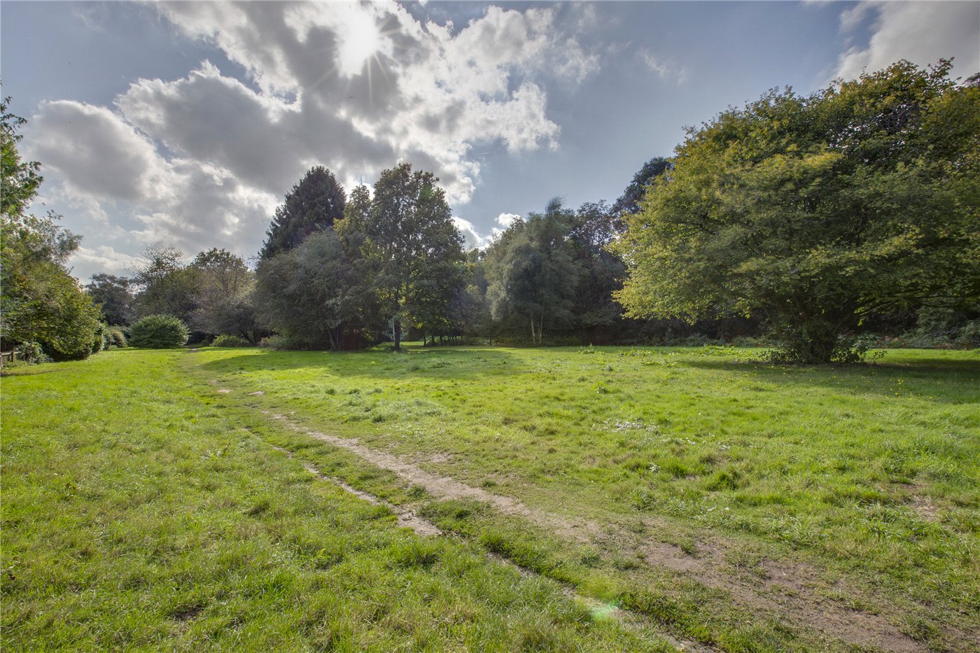 Rear Fields