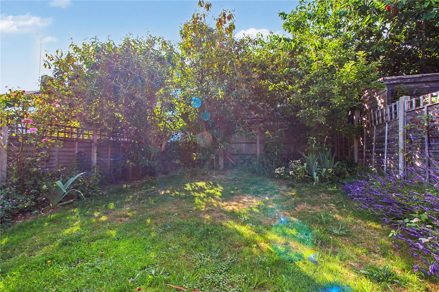Garden