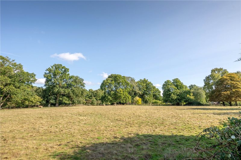 Walnut Hill, Surlingham, Norwich, Norfolk, NR14