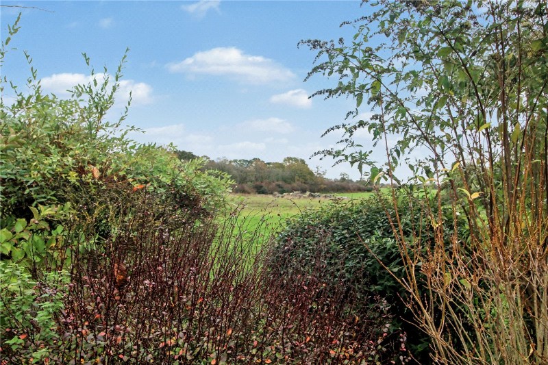 Church Meadow Lane, Bergh Apton, Norwich, Norfolk, NR15