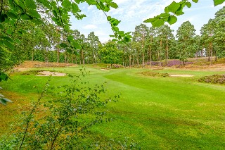 Byfleet Road, Cobham, Surrey, KT11