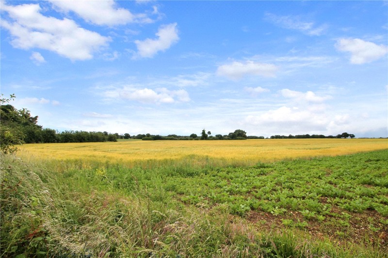 Langley Green, Langley, Norwich, Norfolk, NR14