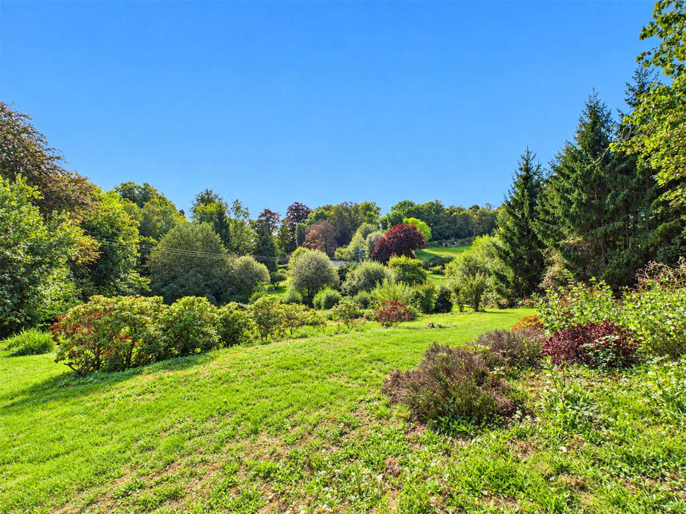 Grounds