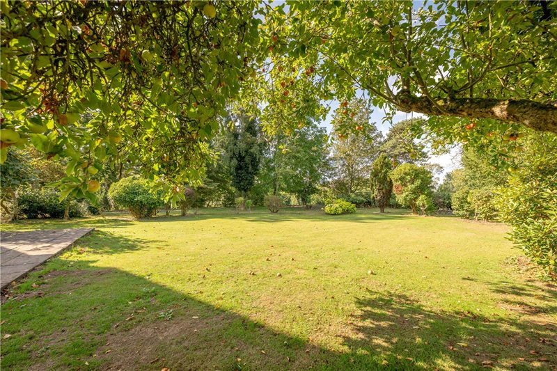 Walnut Hill, Surlingham, Norwich, Norfolk, NR14