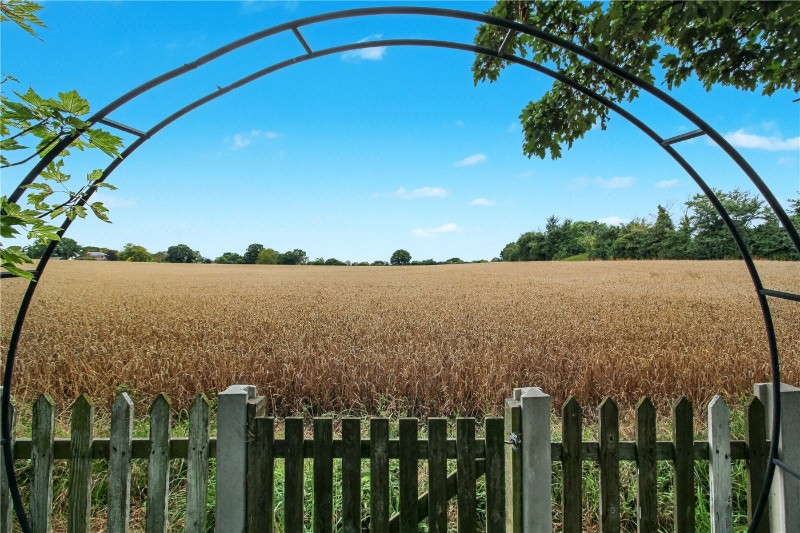 Back Road, Wenhaston, Halesworth, Suffolk, IP19