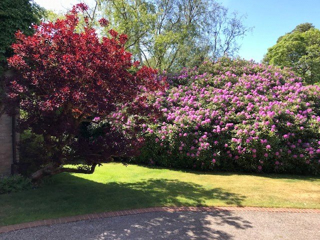 Winkworth Farnham