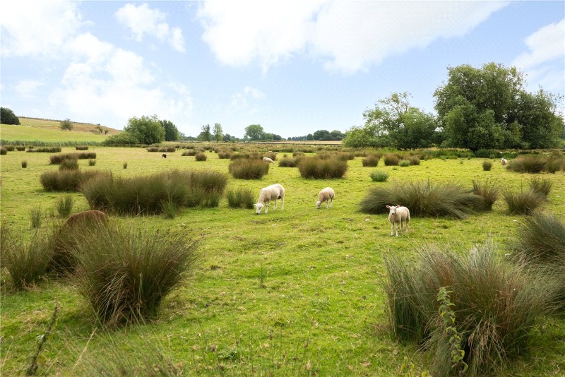 St. Marys Meadow, Wingham, Canterbury, Kent, CT3