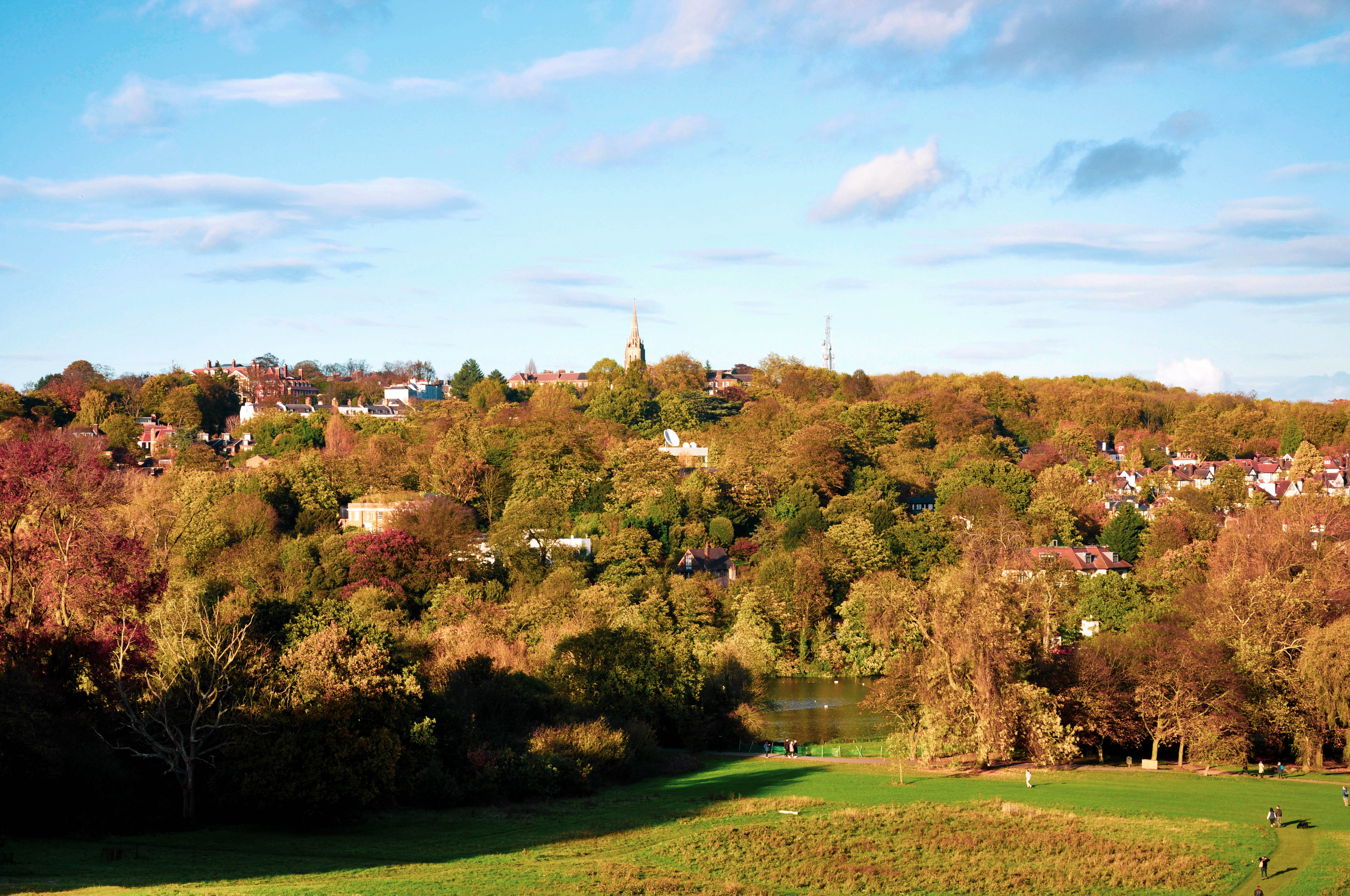3-Highgate