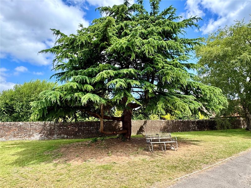 Barnaby Close, Downton, Salisbury, Wiltshire, SP5
