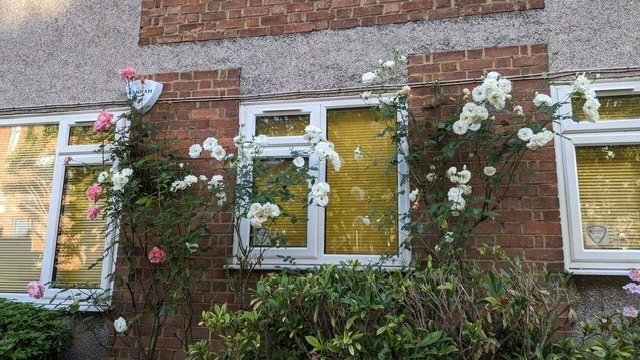 Crouch Hill, London, N4