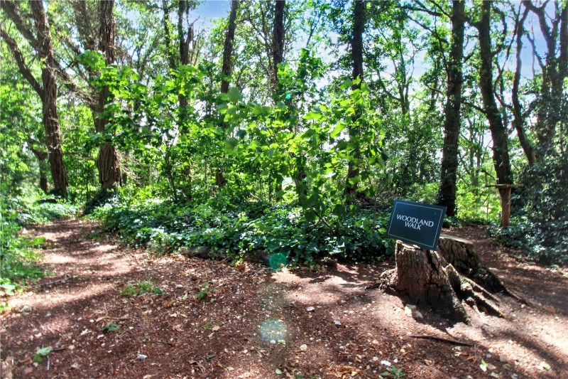 The Lodge Drive, Drayton, Norwich, Norfolk, NR8