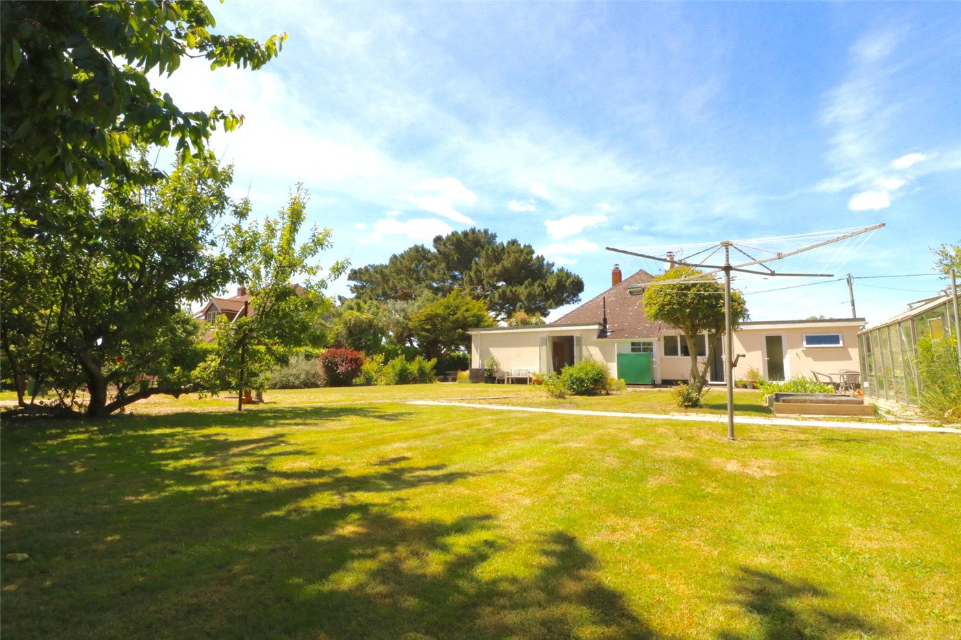 Back Garden