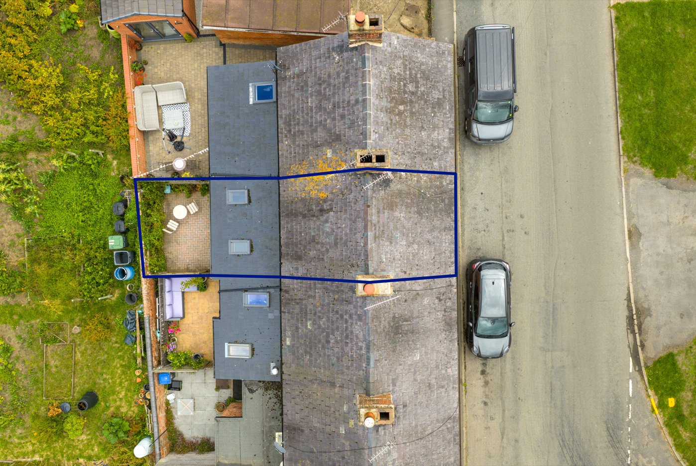 Birdseye