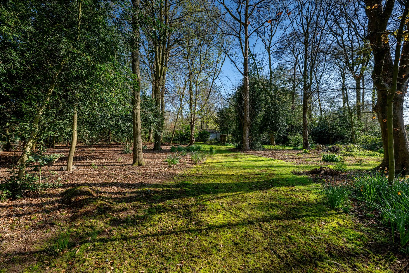 Grounds
