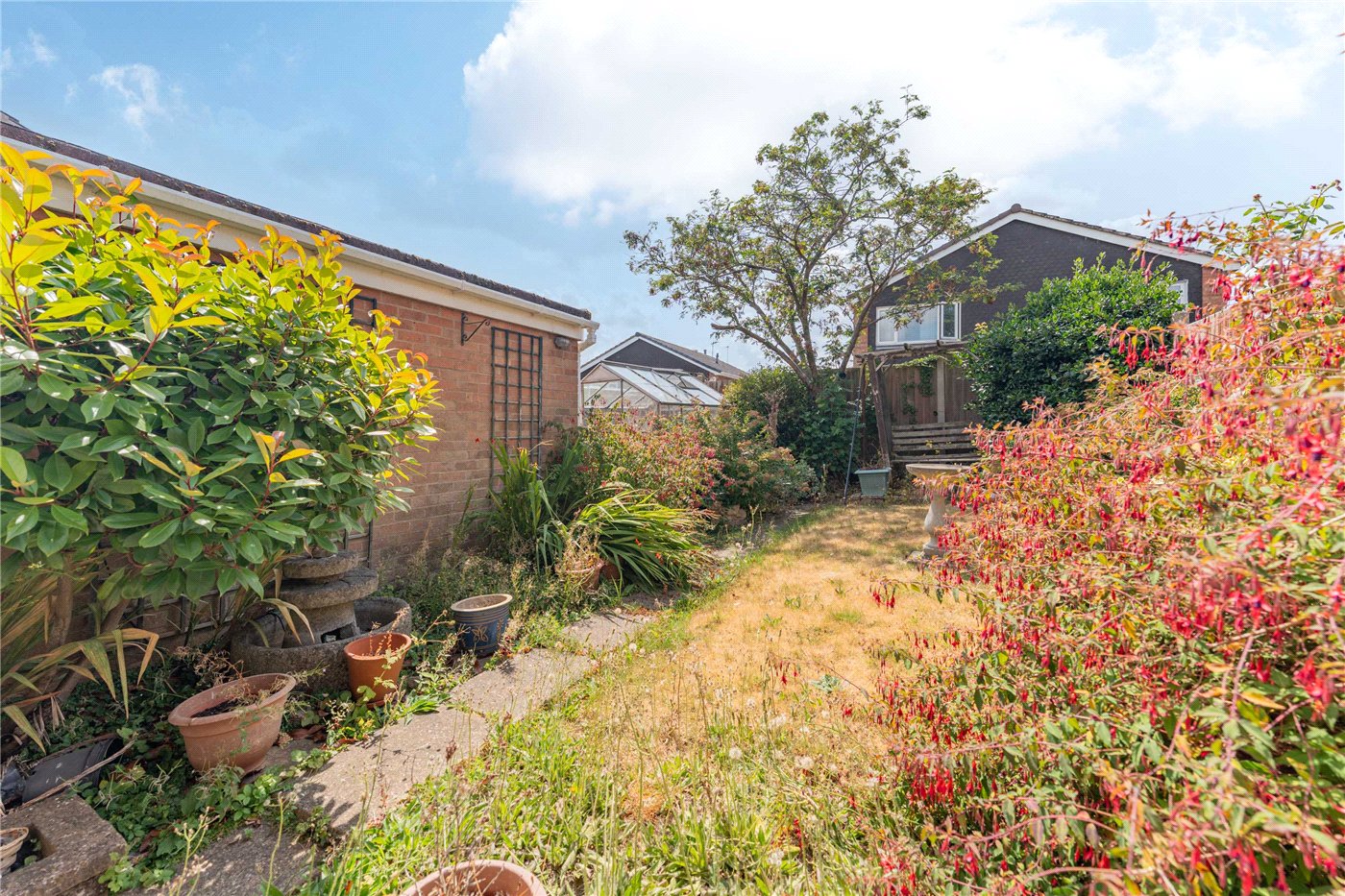 Garden 1