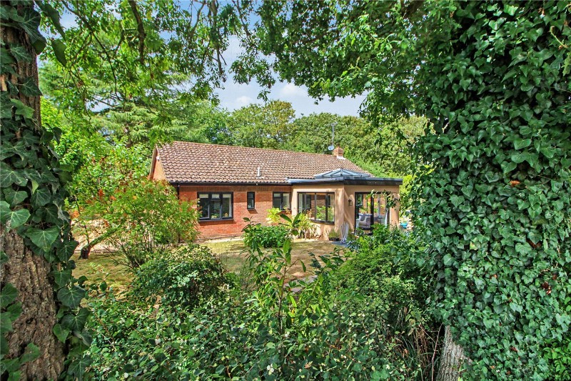 Old Hall Park, Seething, Norwich, Norfolk, NR15