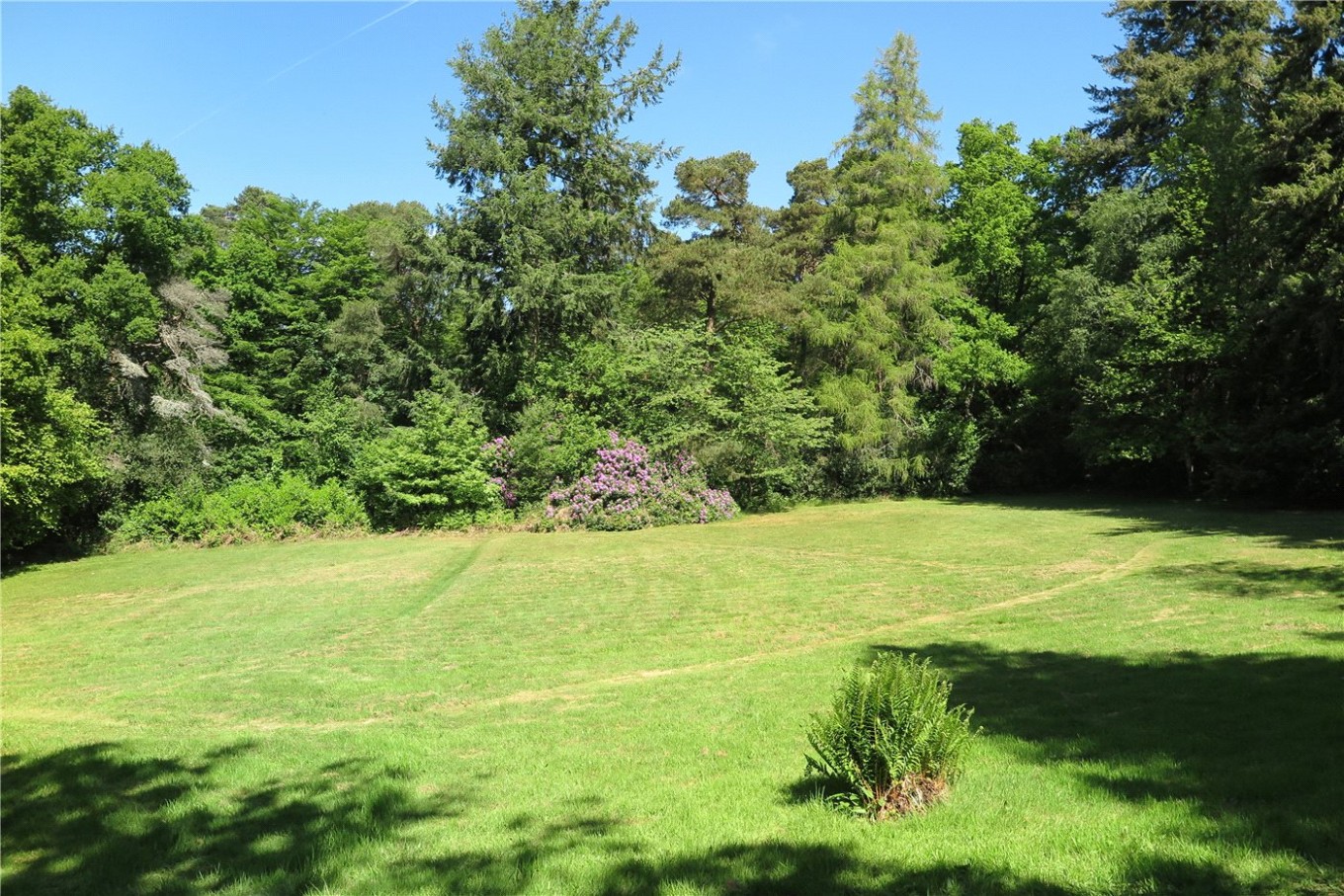 5 bedroom property for sale in Beech Hill House, Beech Hill Road