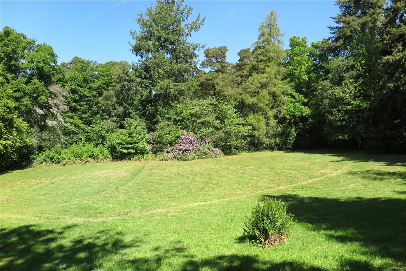 5 bedroom property for sale in Beech Hill House, Beech Hill Road