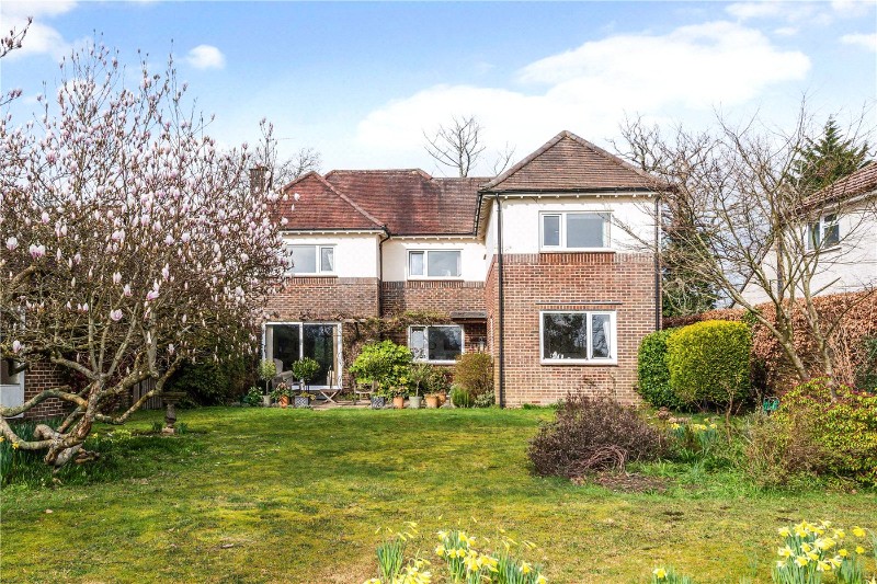 Bell Hill Ridge, Petersfield, Hampshire, GU32